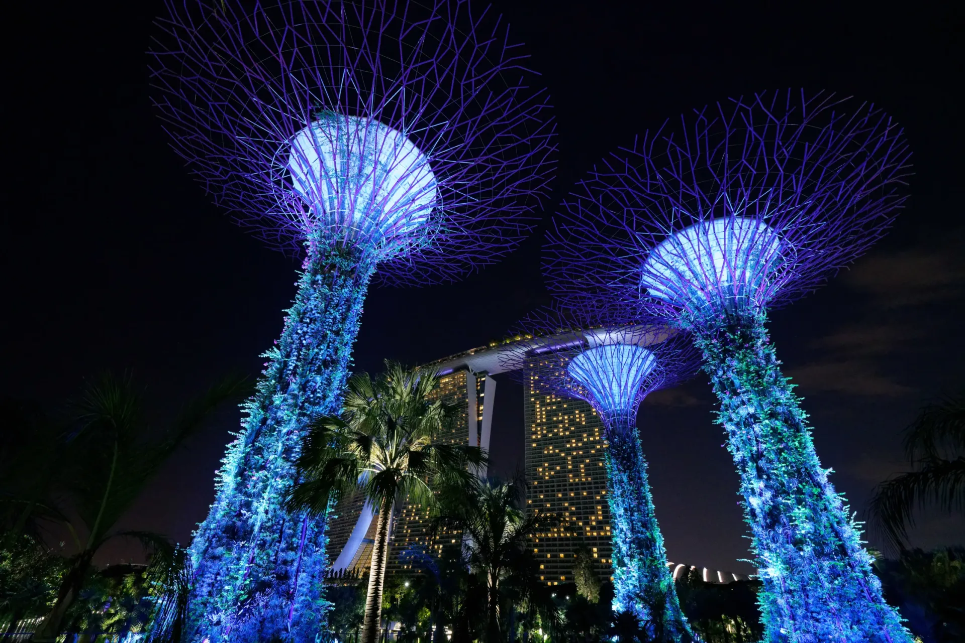 Singapore company incorporation and ACRA BizFile registration documents